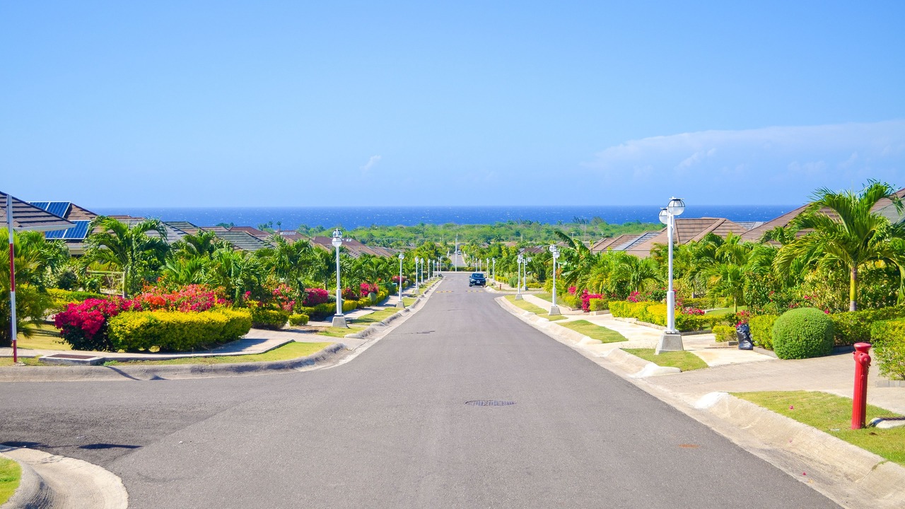 Photo of Others in St. Ann's Bay