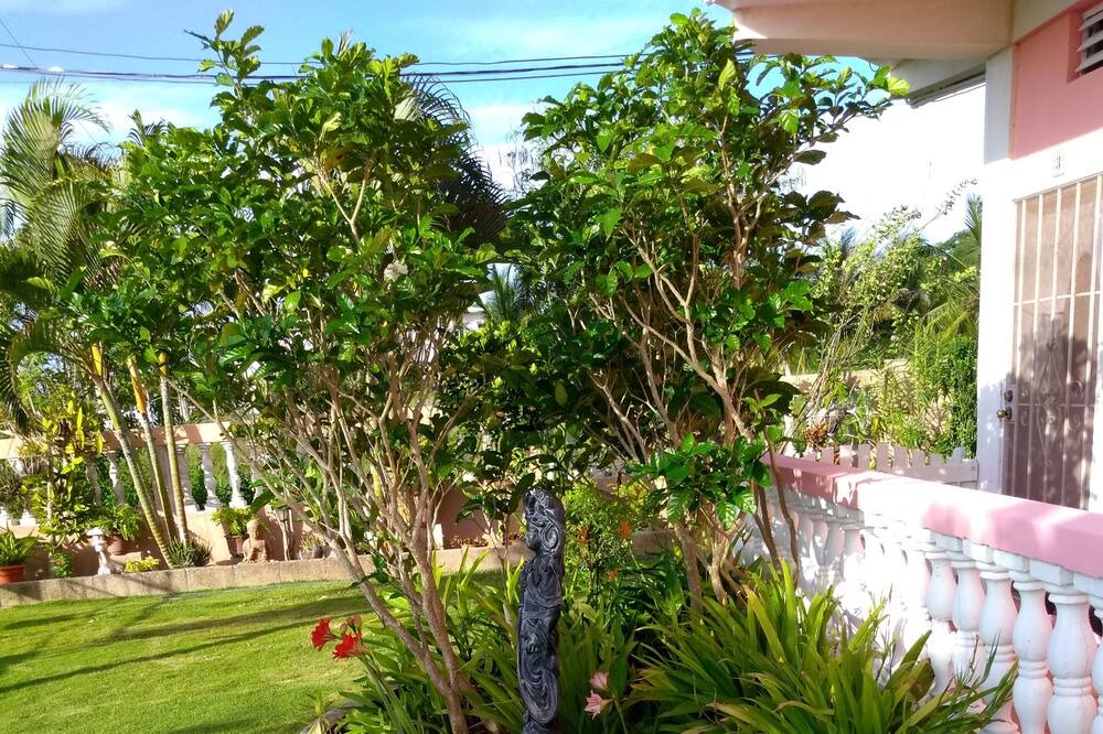 Photo of Outdoor in Corozal