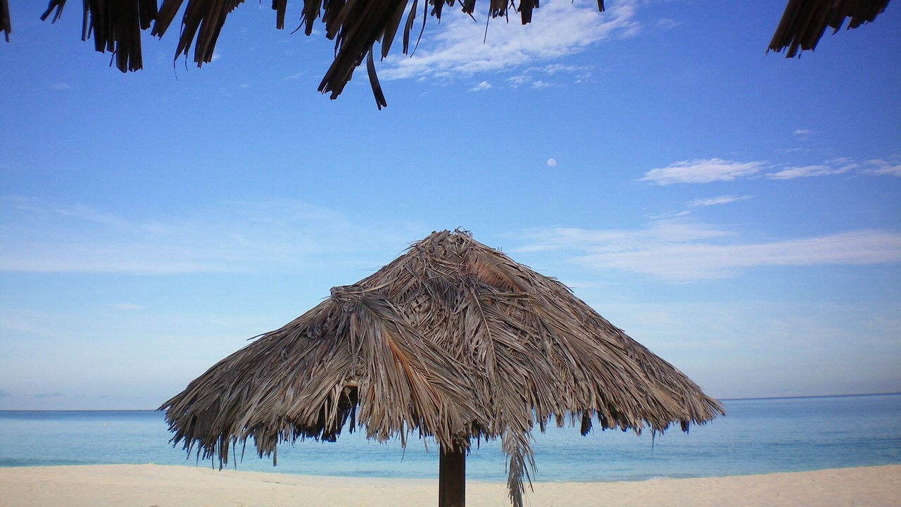 Photo of Others in Palm Beach