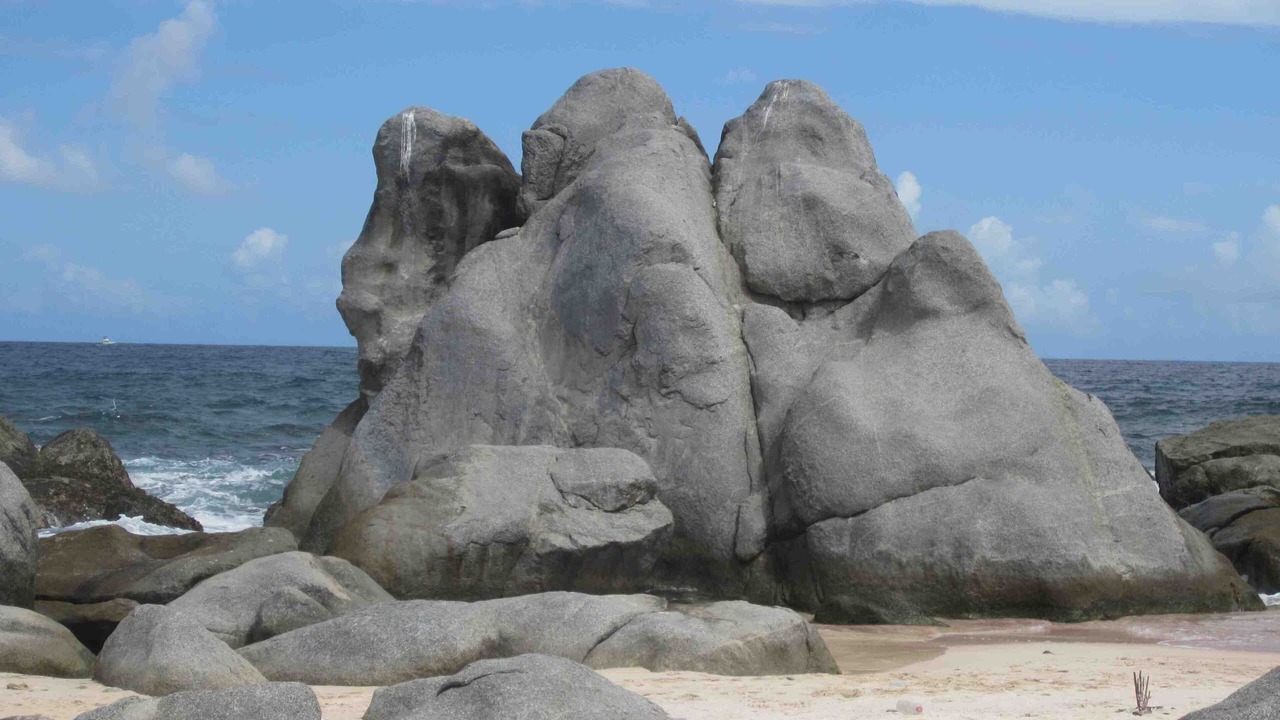Photo of Others in Palm Beach