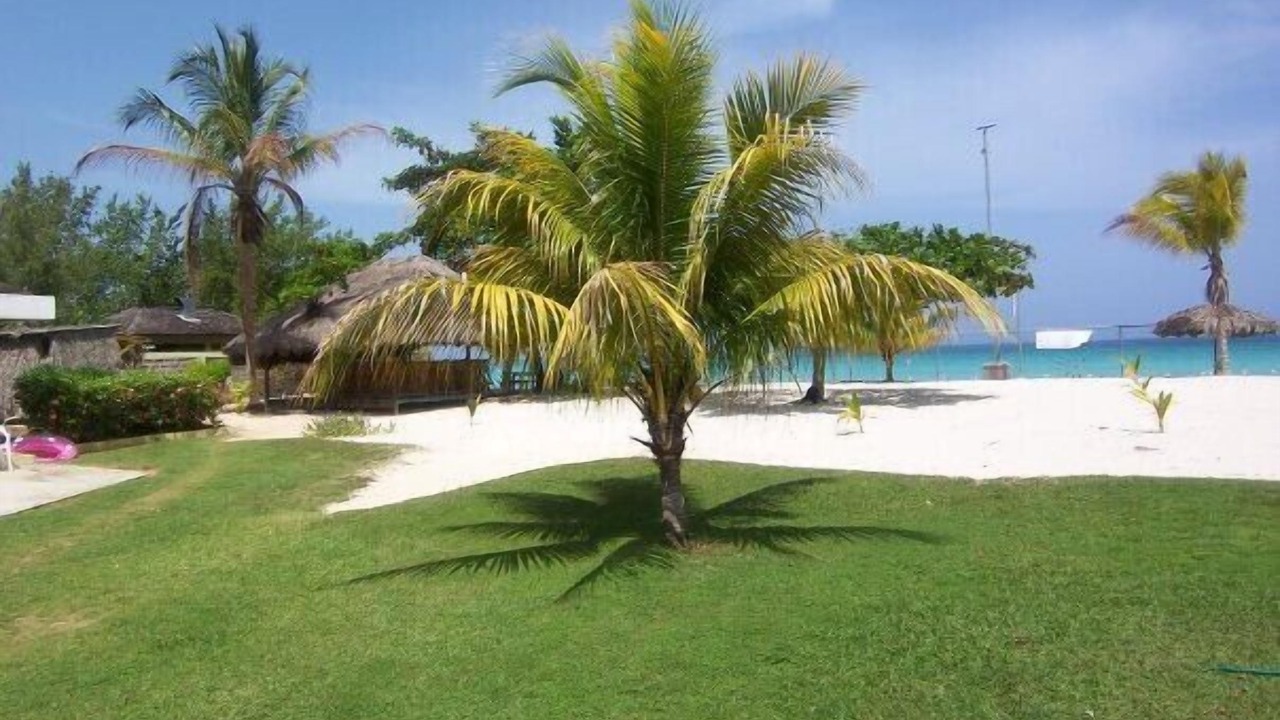 Photo of Outdoor in Orange Bay