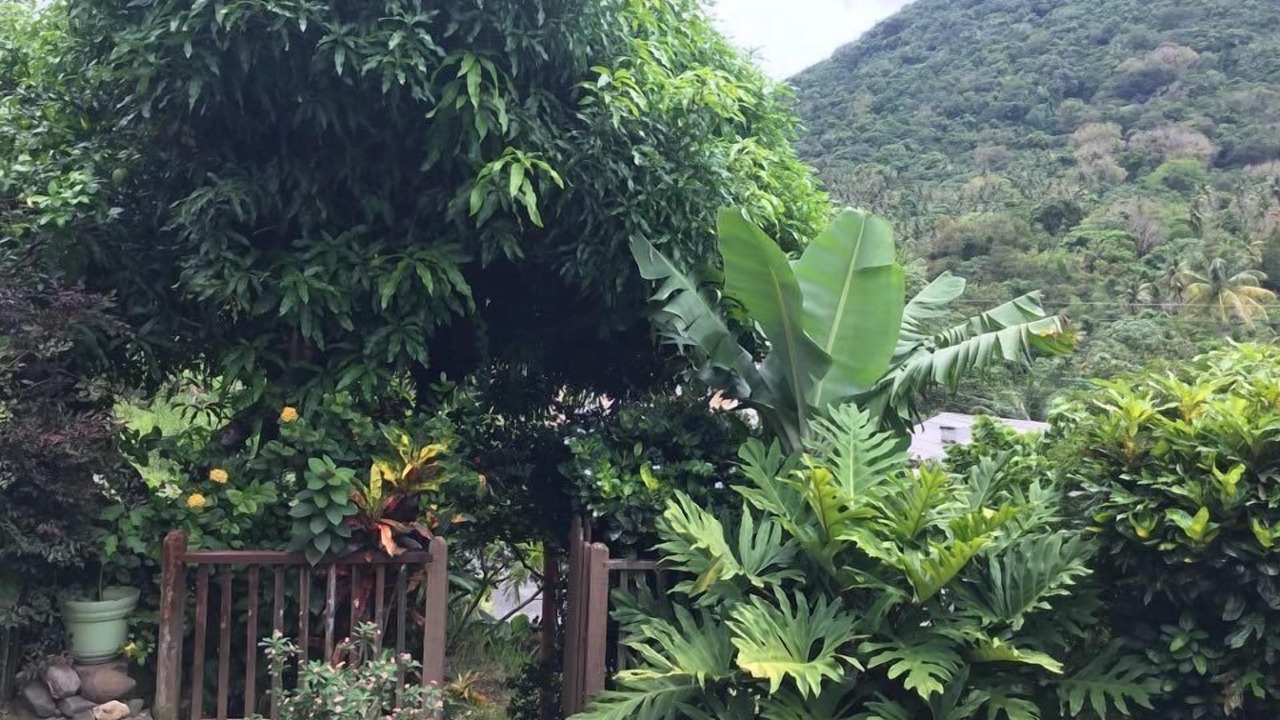 Photo of Outdoor in Soufriere Quarter