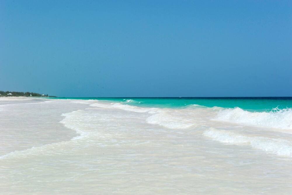 Photo of Outdoor in Double Bay