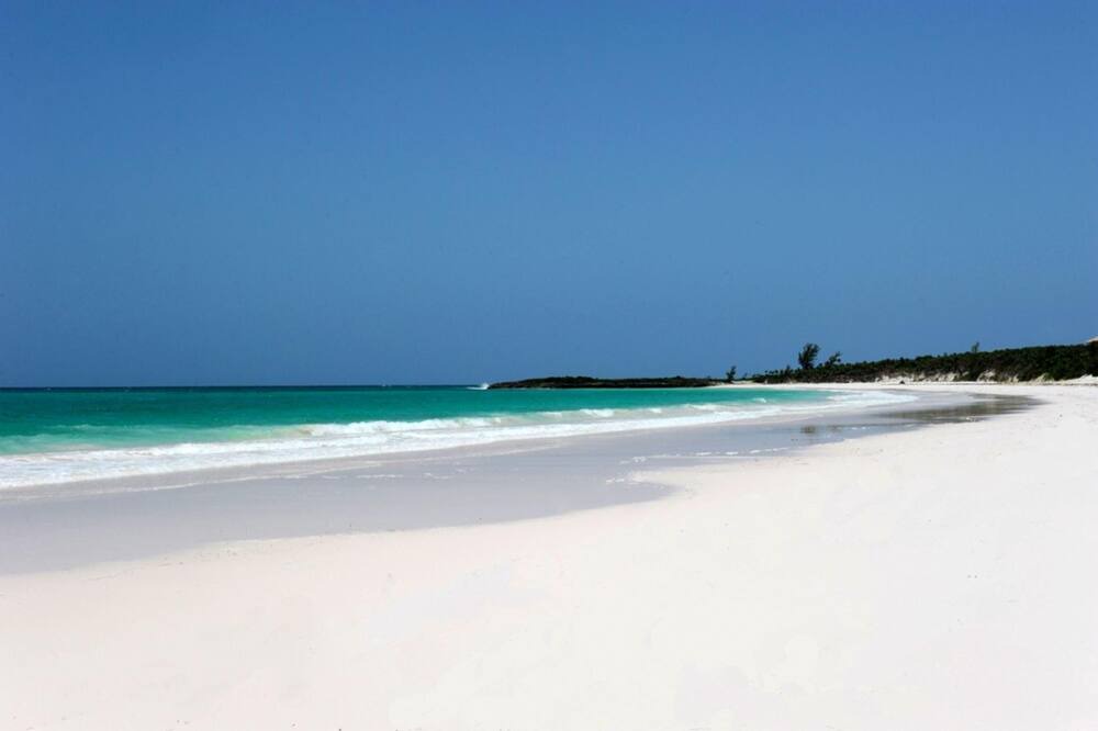 Photo of Outdoor in Double Bay