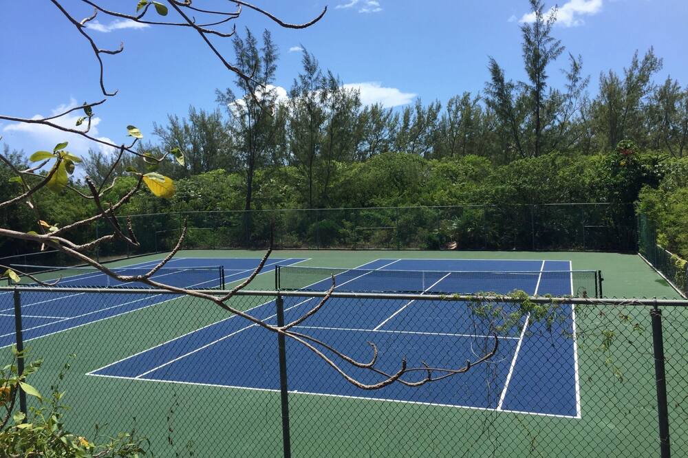Photo of Others in Double Bay