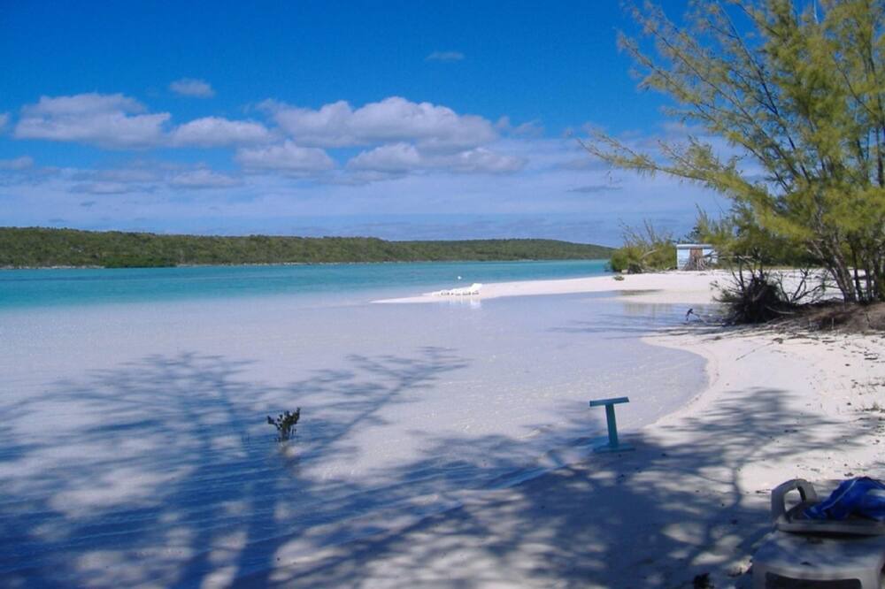 Photo of Outdoor in Double Bay