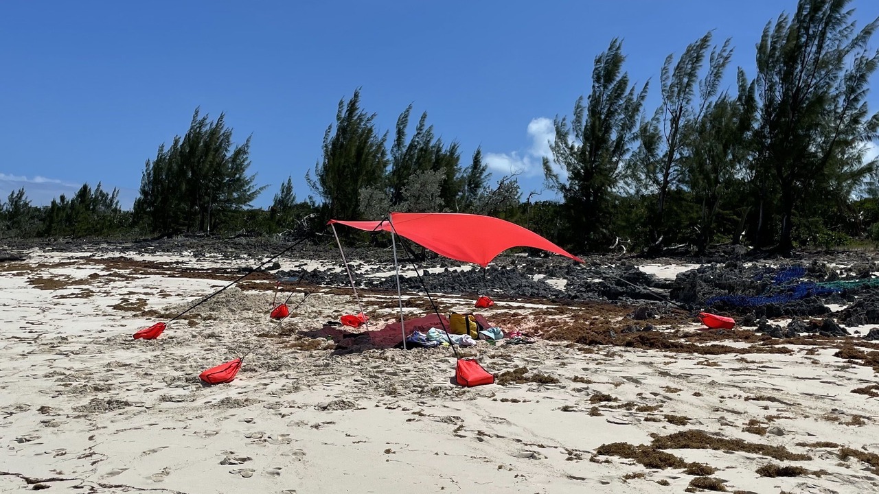 Photo of Others in Man O War Cay