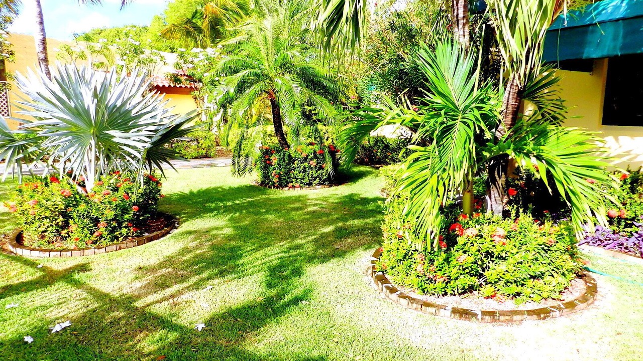 Photo of Outdoor in Palm Beach