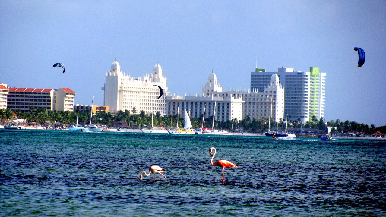 Photo of Others in Palm Beach