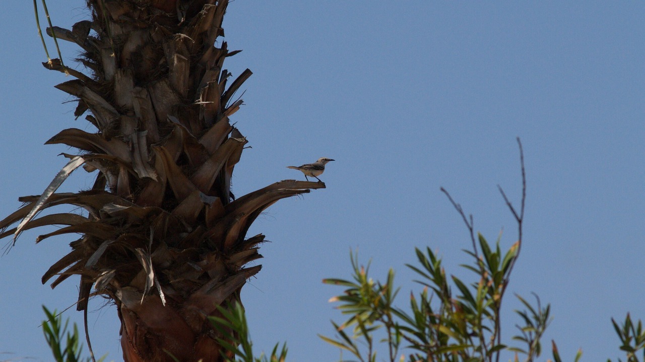 Photo of Outdoor in Sabana Liber