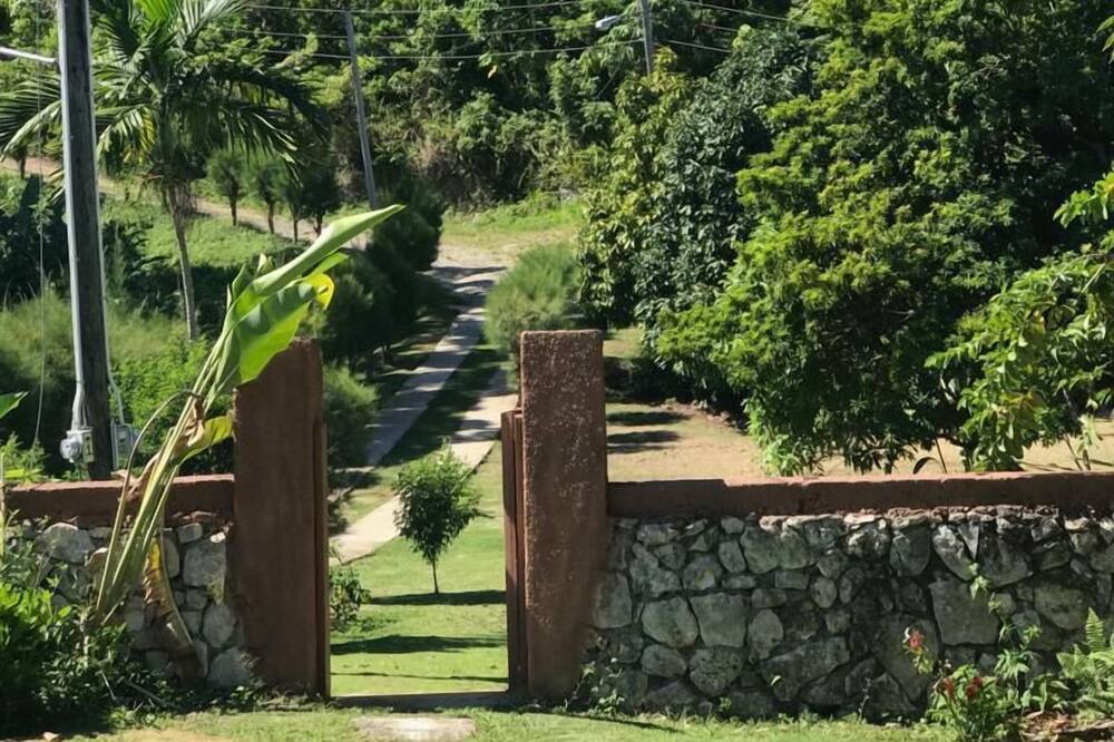 Photo of Outdoor in Port Antonio