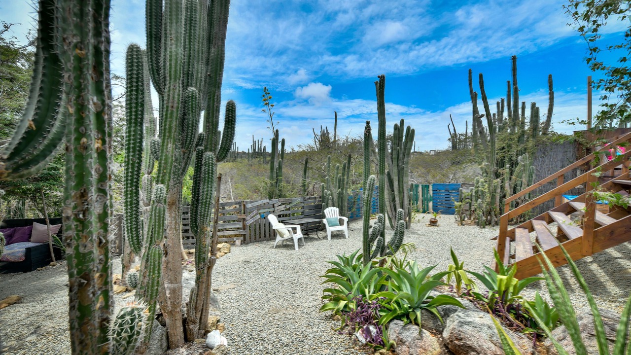 Photo of Outdoor in Santa Cruz