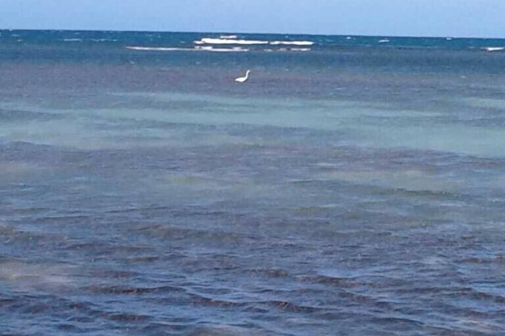 Photo of Others in Falmouth
