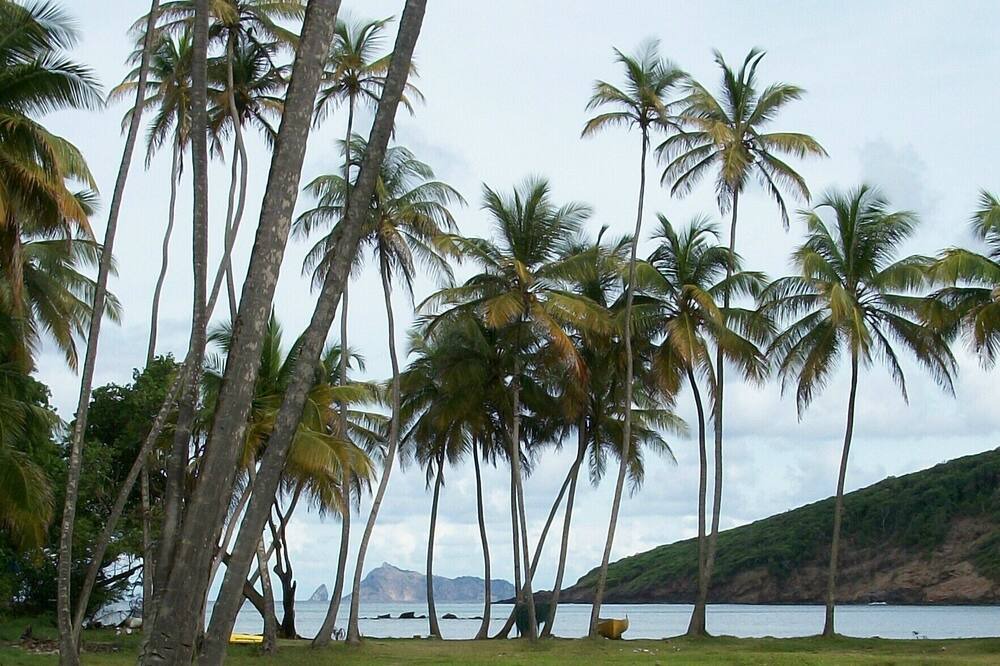 Photo of Others in Spring Estate