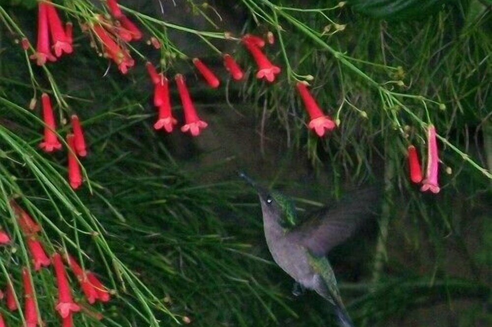 Photo of Outdoor in Spring Estate