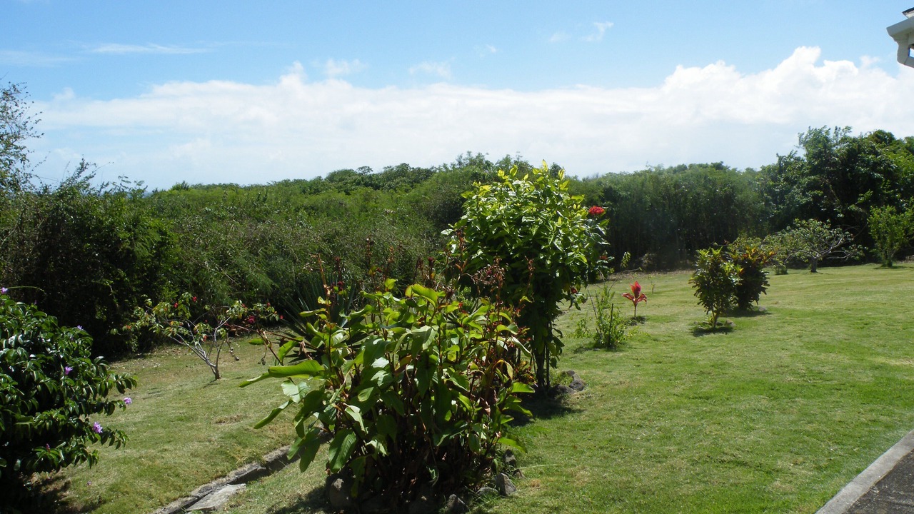 Photo of Outdoor in Fort Jeudy