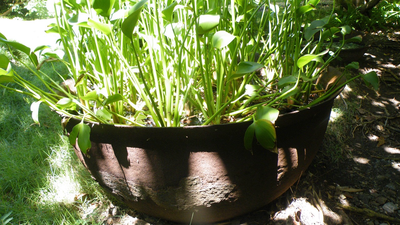 Photo of Outdoor in Fort Jeudy