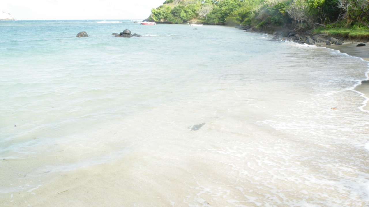 Photo of Others in Fort Jeudy