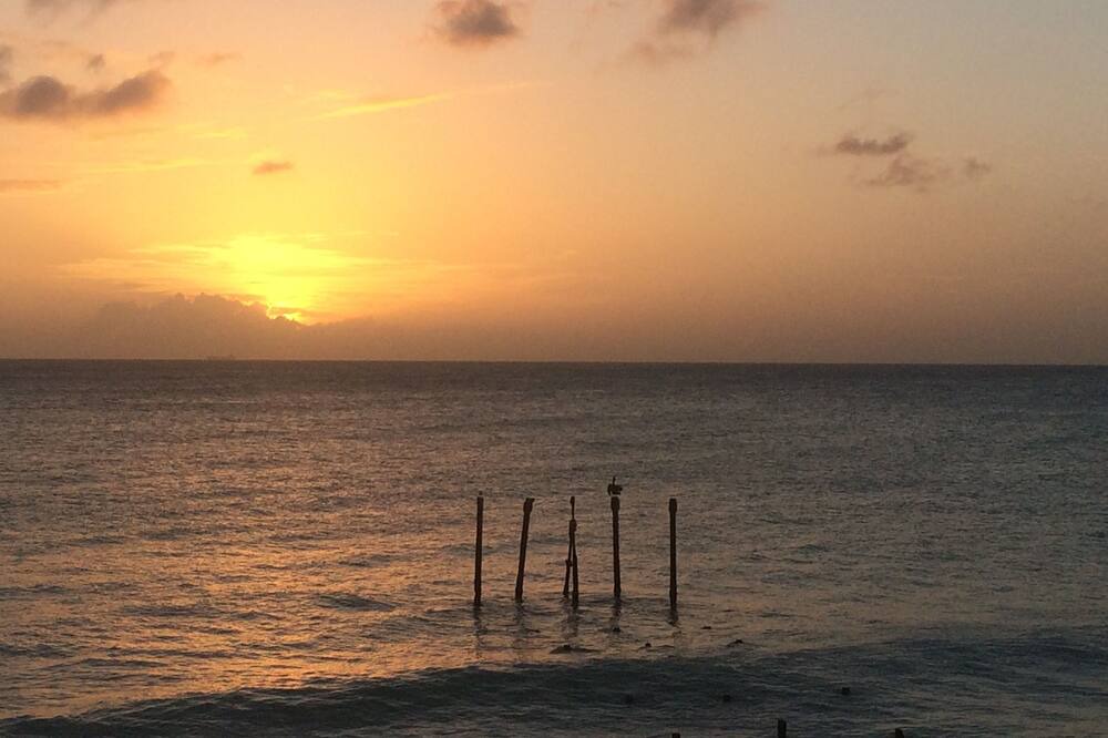 Photo of Others in Oranjestad-West