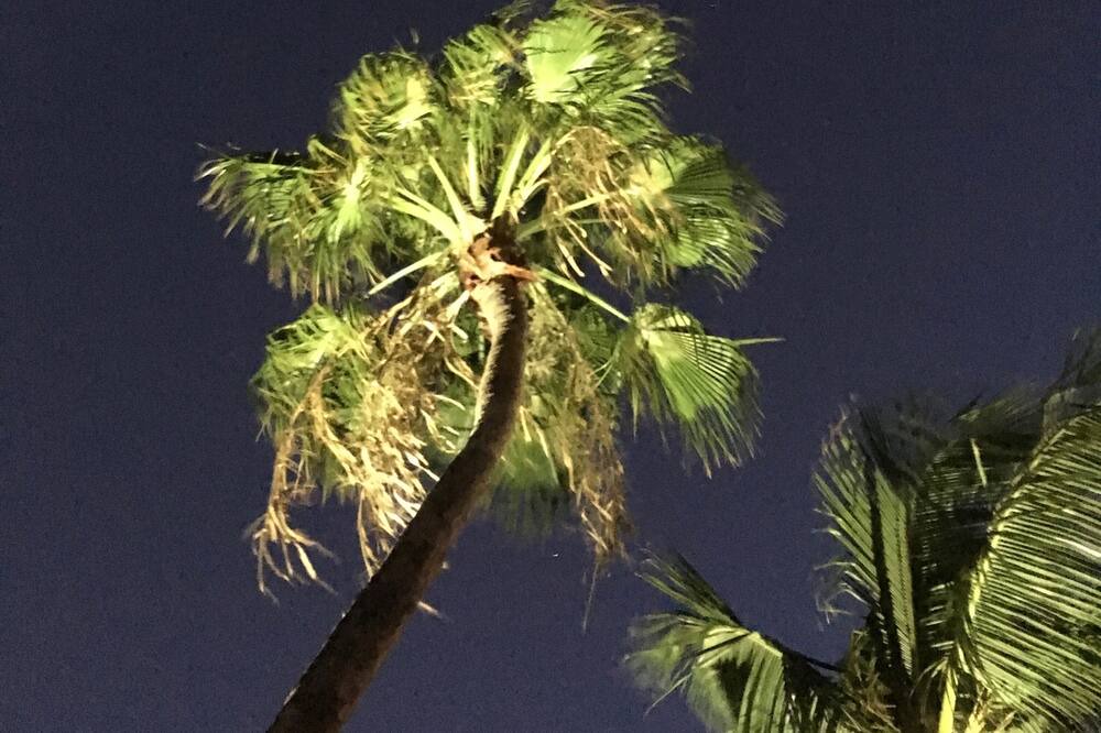 Photo of Outdoor in Oranjestad-West
