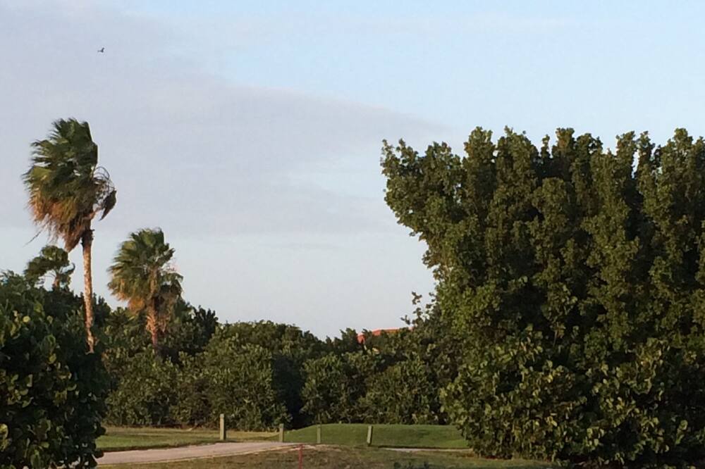 Photo of Others in Oranjestad-West