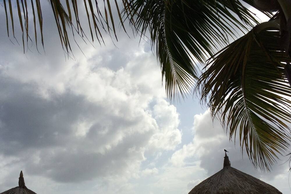 Photo of Others in Oranjestad-West