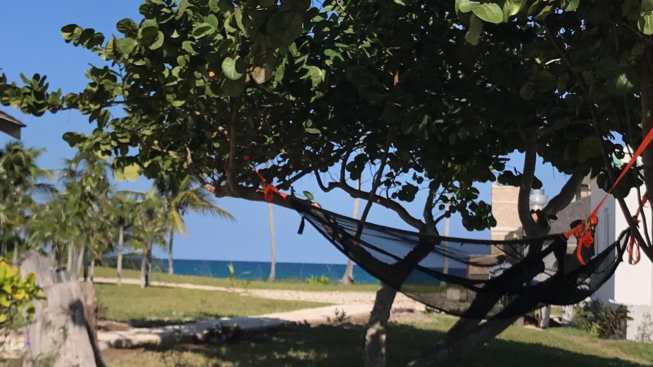 Photo of Outdoor in North Palmetto Point