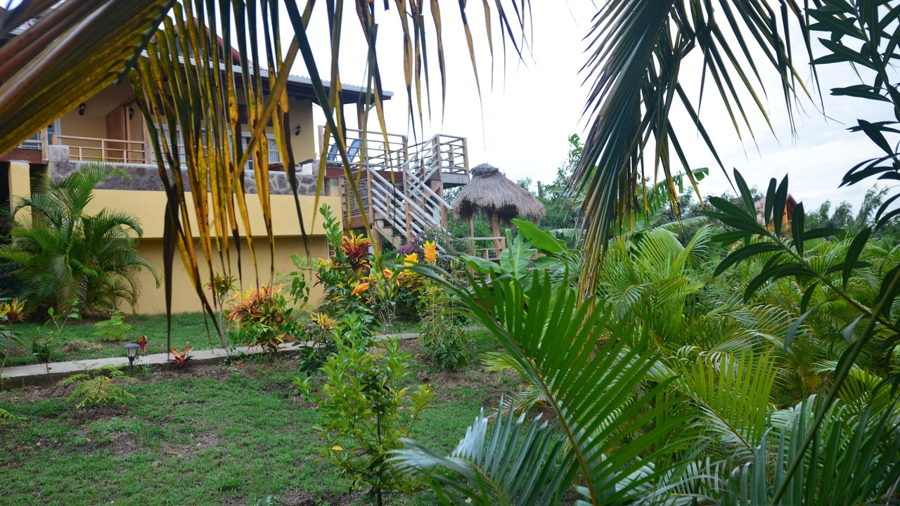 Photo of Outdoor in Choiseul