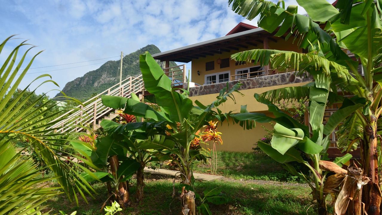 Photo of Outdoor in Choiseul