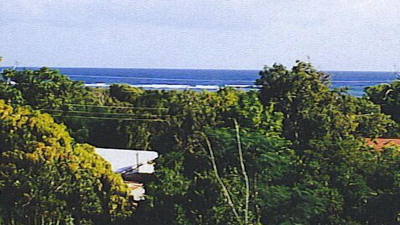 Photo of Outdoor in Salt Marsh