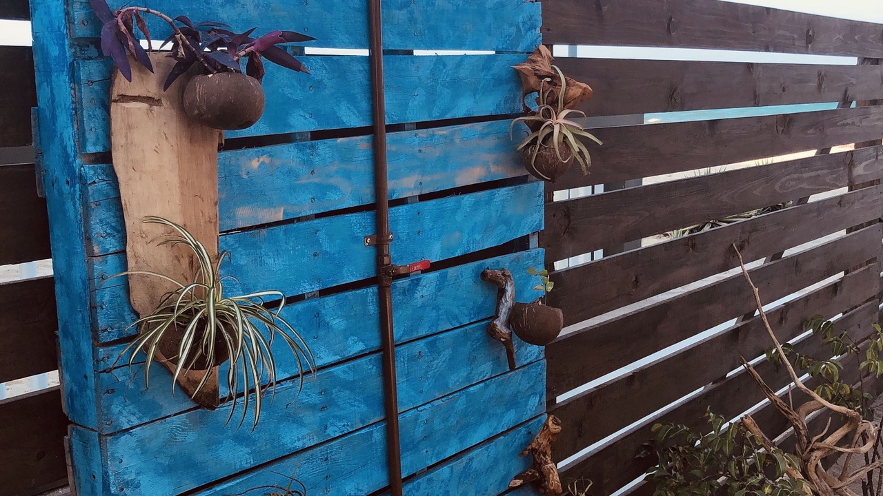 Photo of Outdoor in Placencia