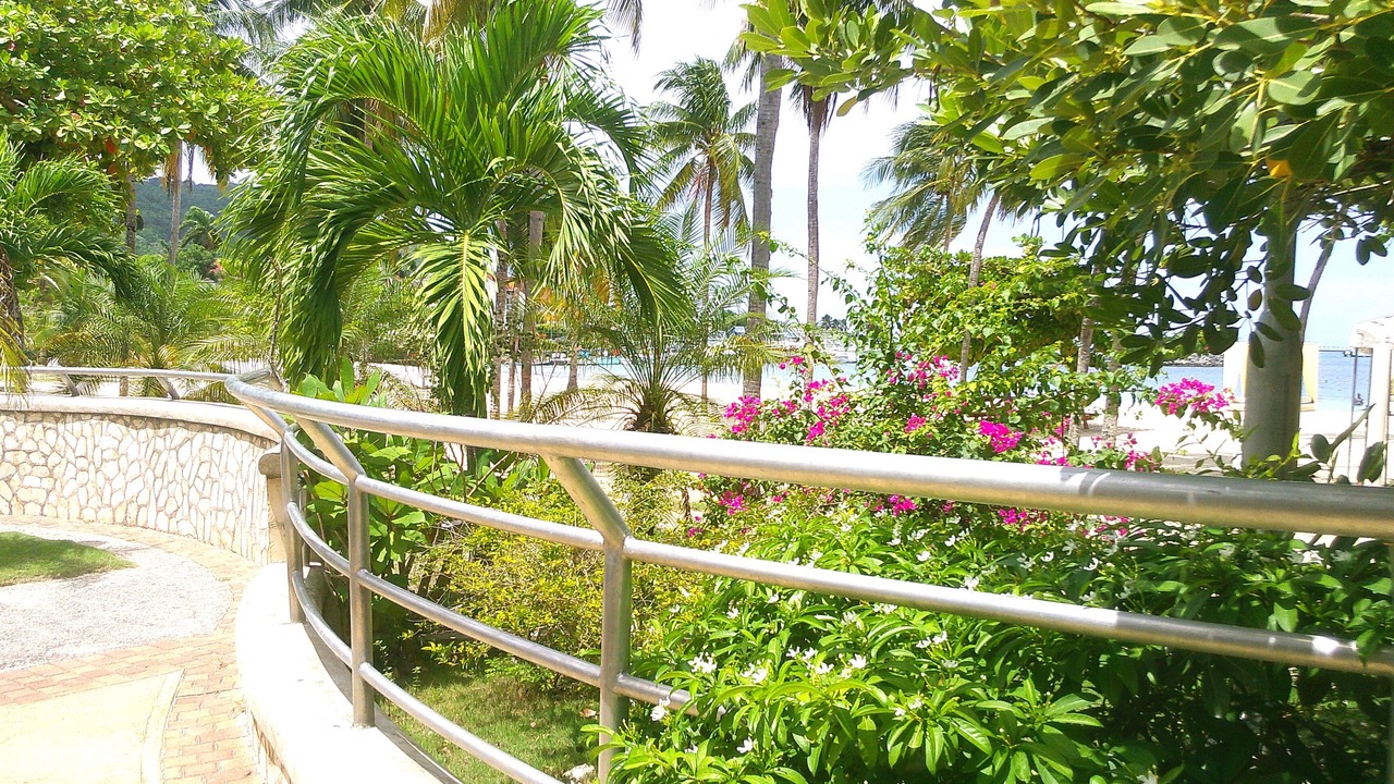 Photo of Outdoor in Ocho Rios