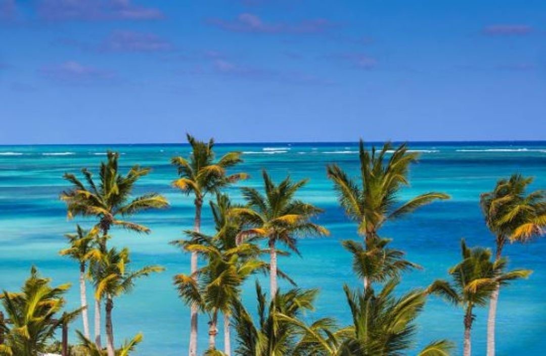 Photo of Outdoor in Cap Cana Marina