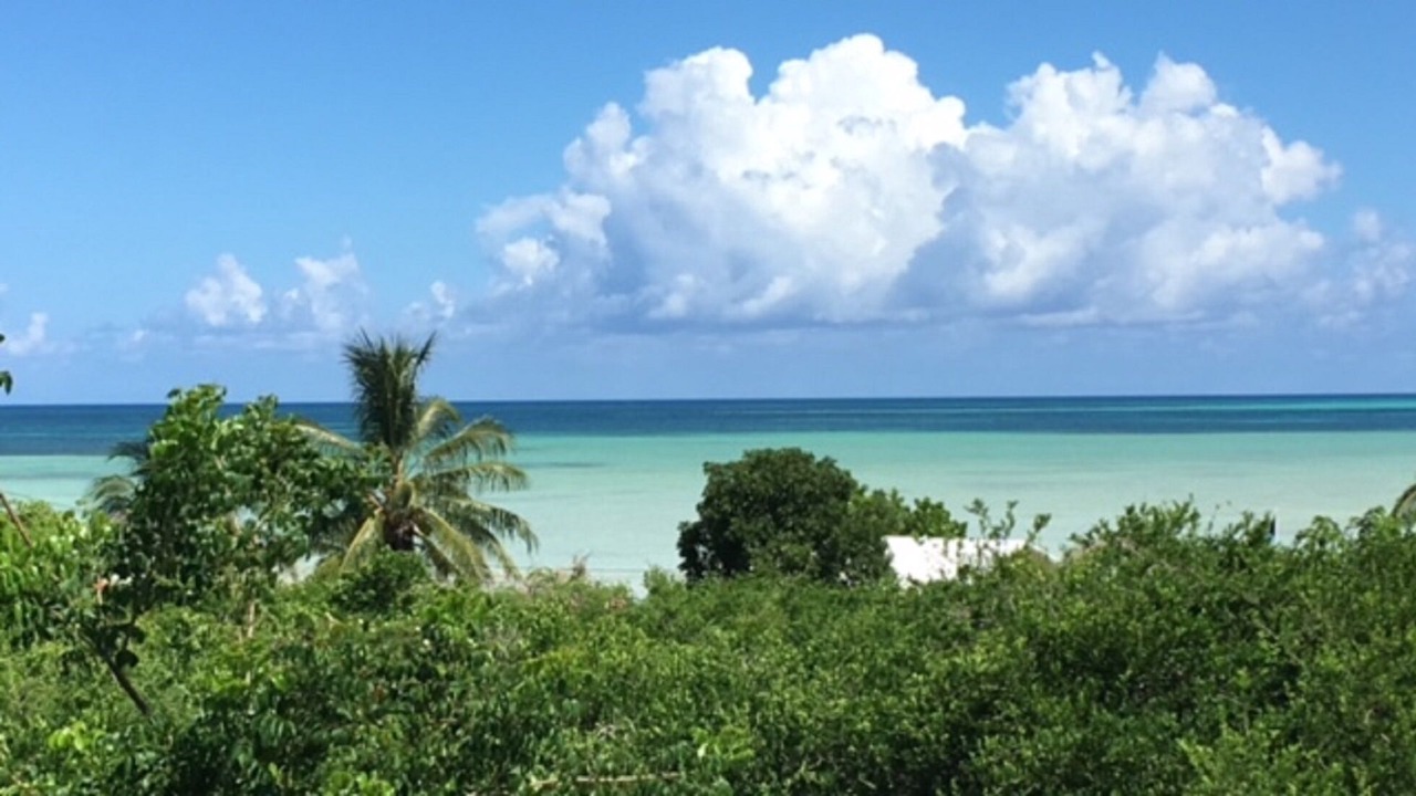 Photo of Outdoor in Spanish Wells