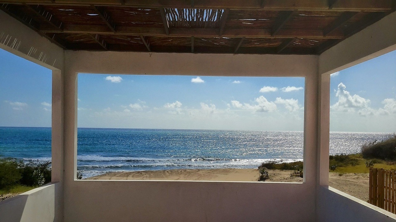 Photo of Others in Treasure Beach