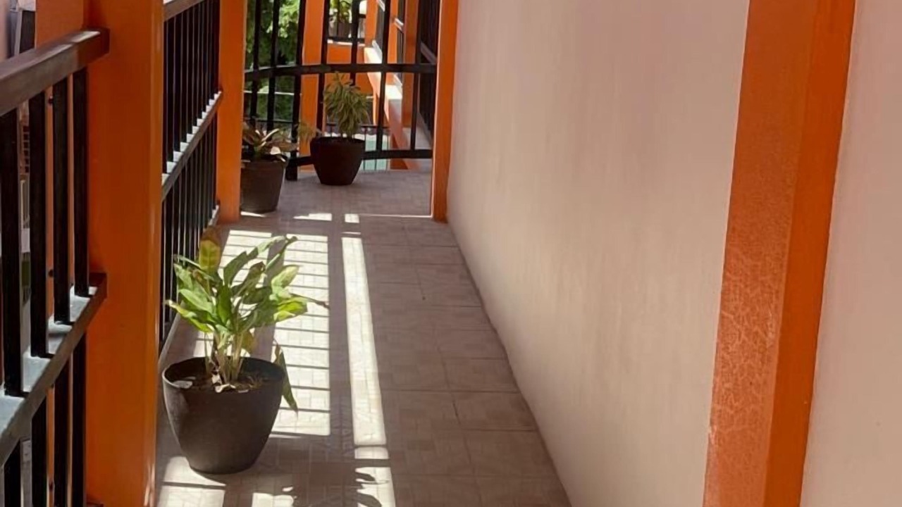 Photo of Outdoor in Caye Caulker