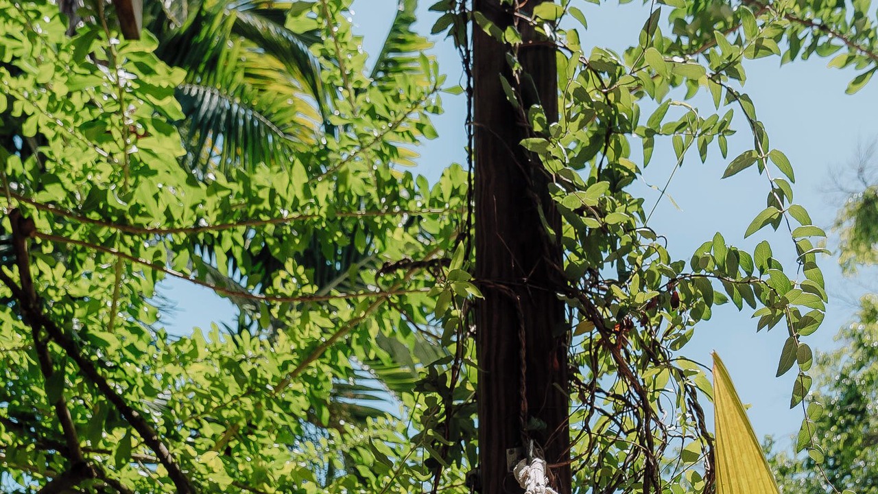 Photo of Outdoor in Parque