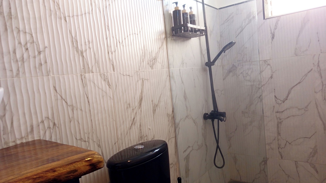 Photo of Bathroom in Boca Chica