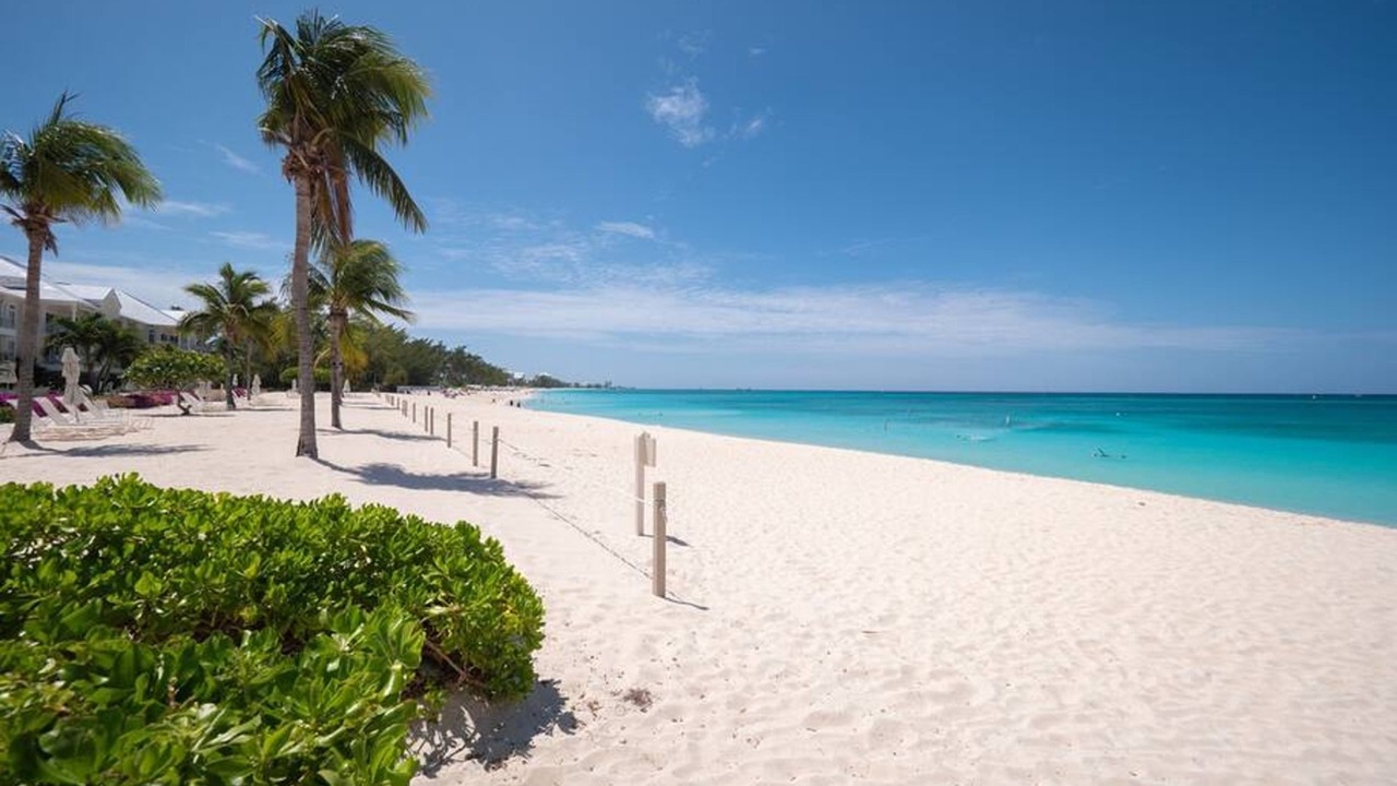Photo of Others in Seven Mile Beach