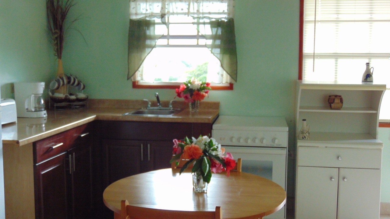 Photo of Kitchen in Runaway Bay