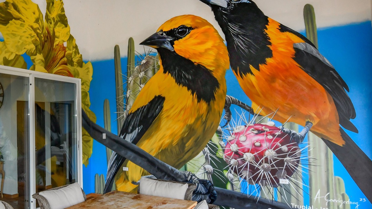 Photo of Others in Santa Cruz