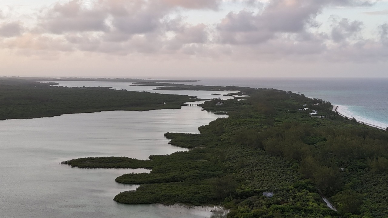 Photo of Others in Savannah Sound