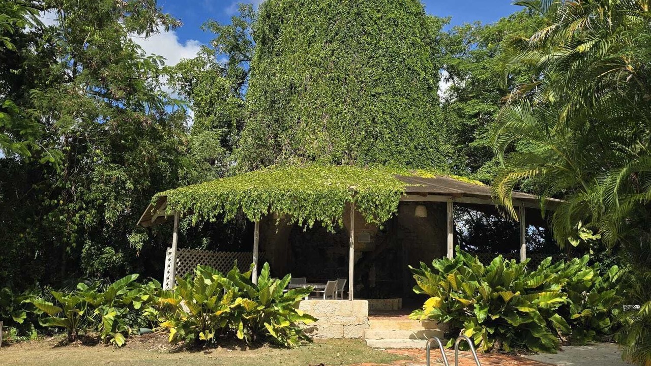 Photo of Outdoor in West Coast