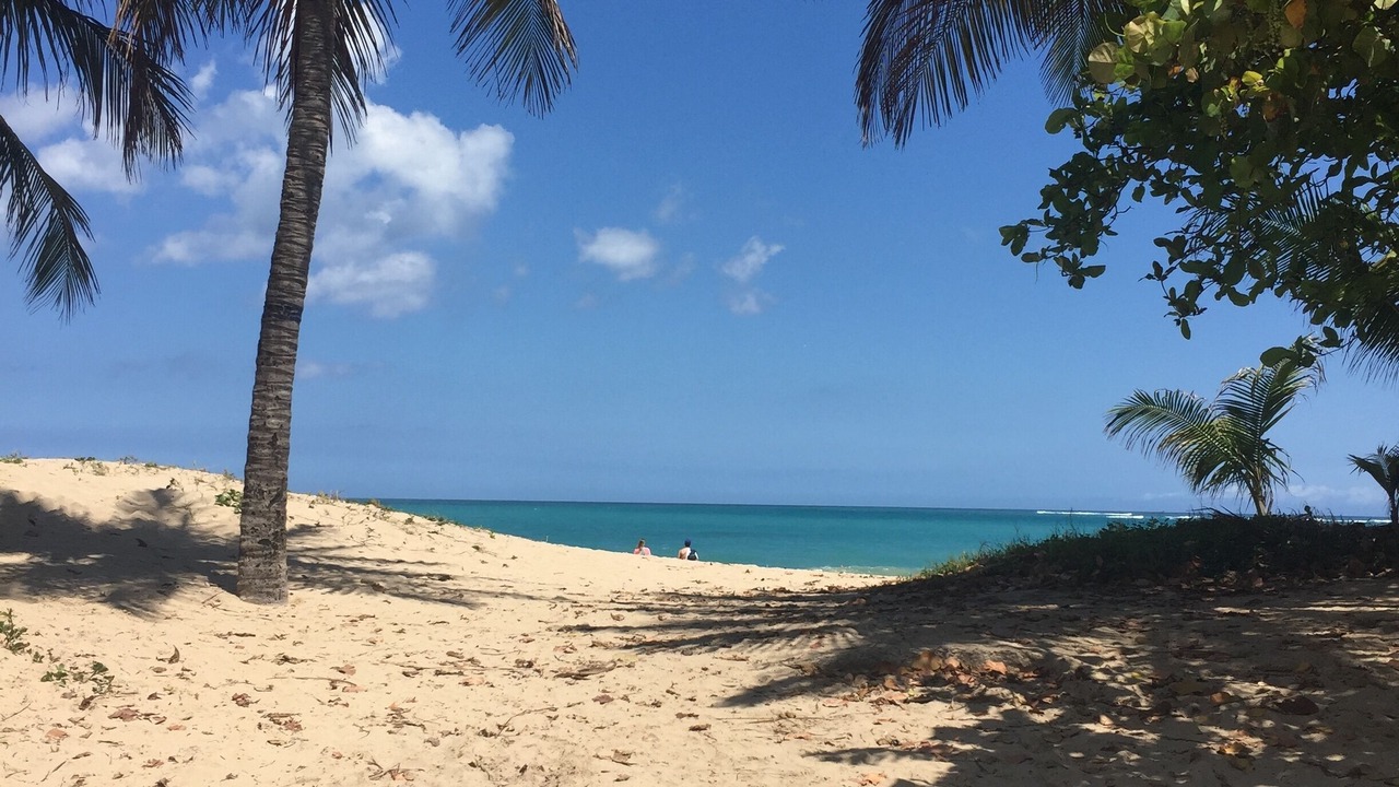 Photo of Others in Condado