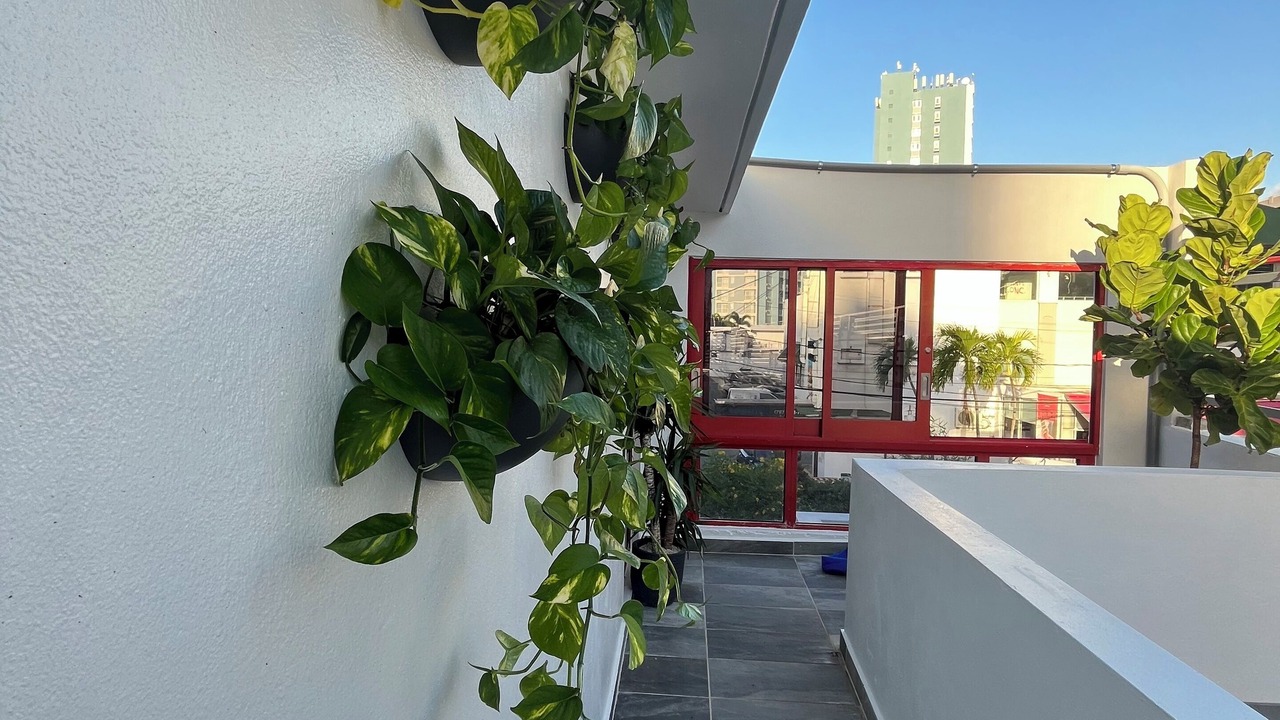 Photo of Outdoor in Condado