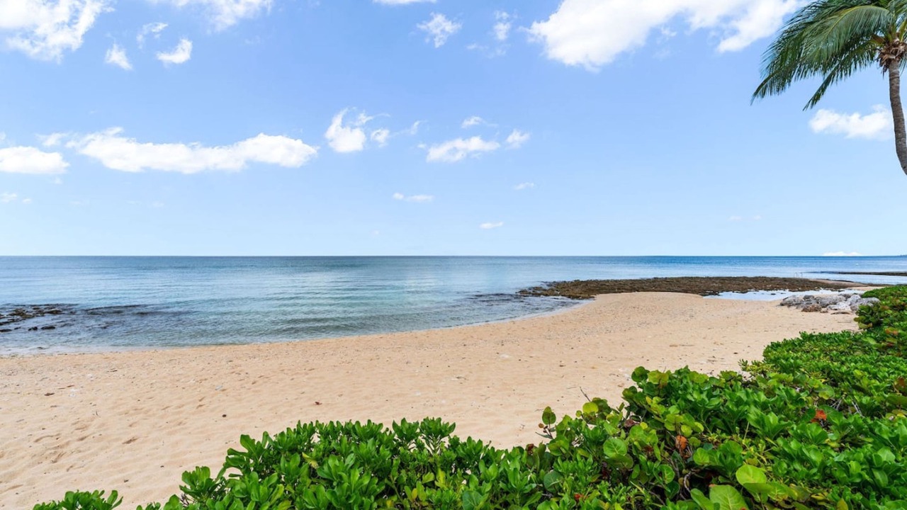 Photo of Others in Seven Mile Beach