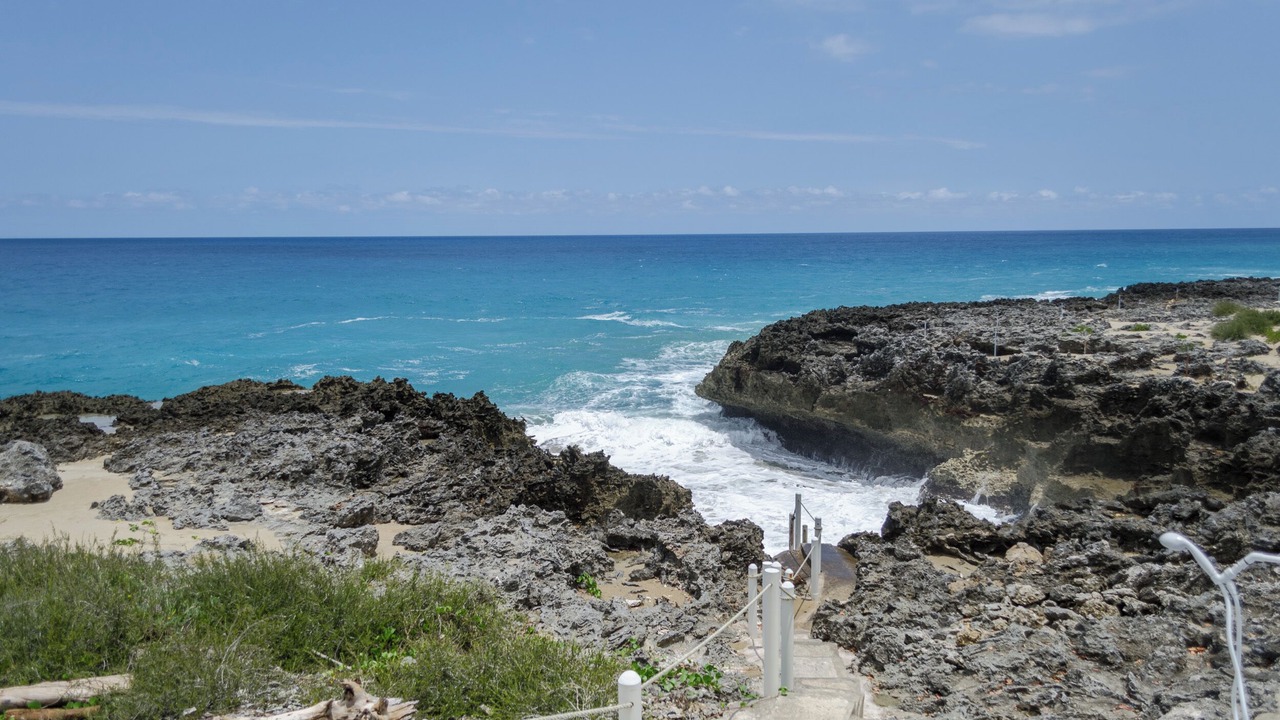 Photo of Others in Playa Chiquita