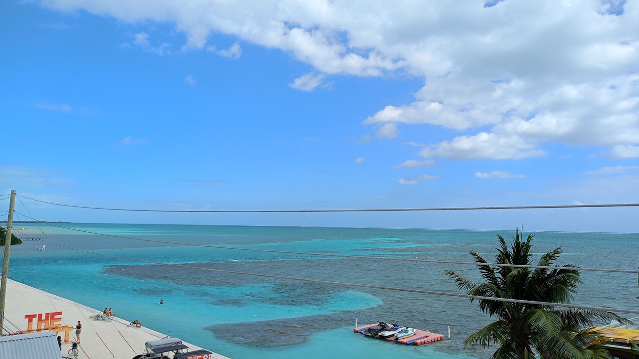 Photo of Others in Caye Caulker