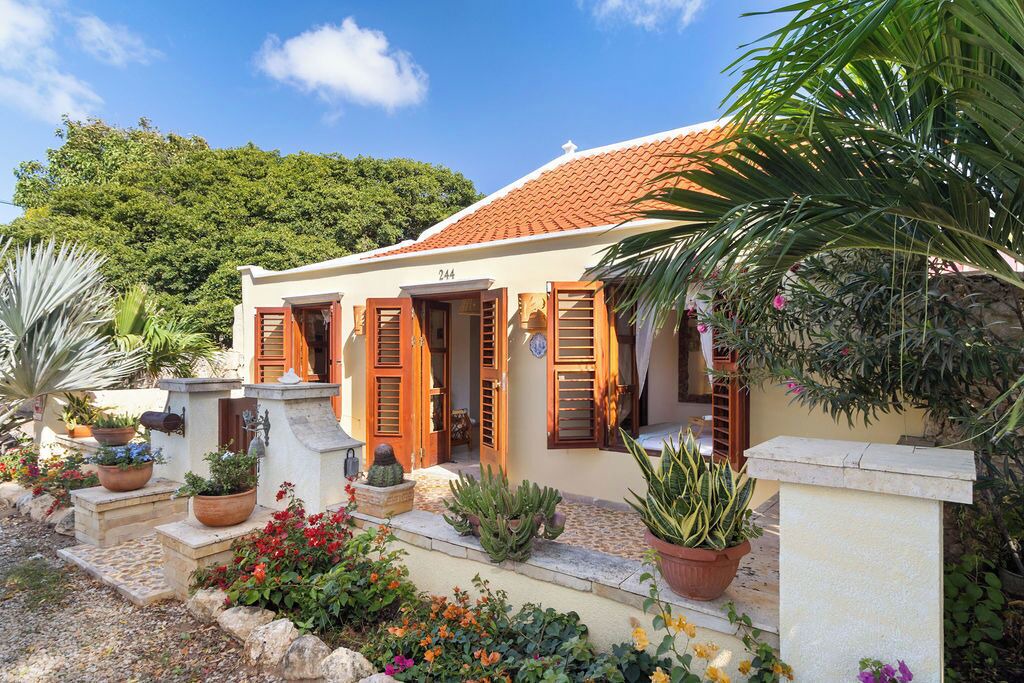Photo of Outdoor in Aruba