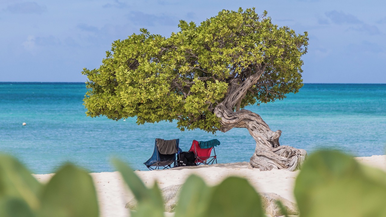 Photo of Others in Aruba